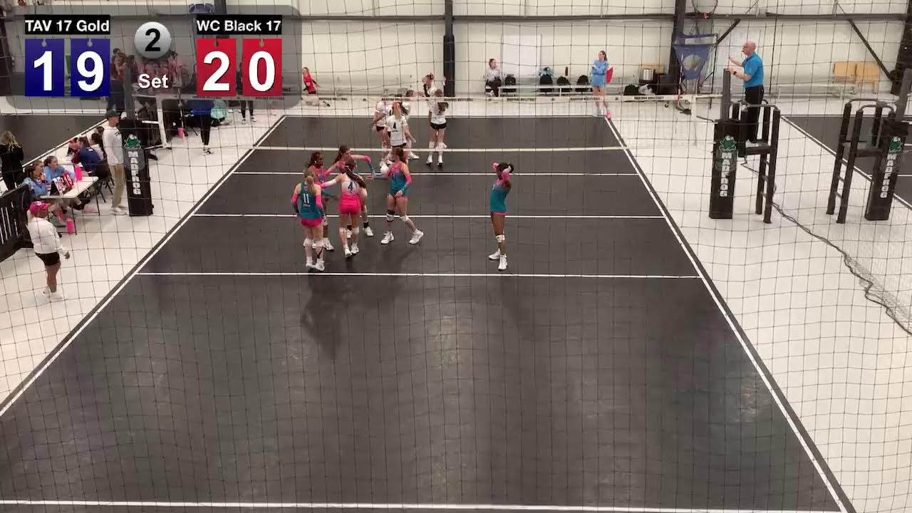 TAV 17 Gold  vs  WC 17 Black