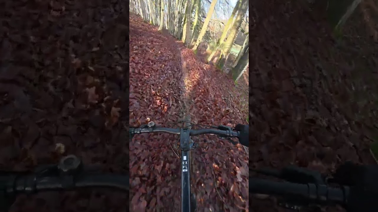 #vtt