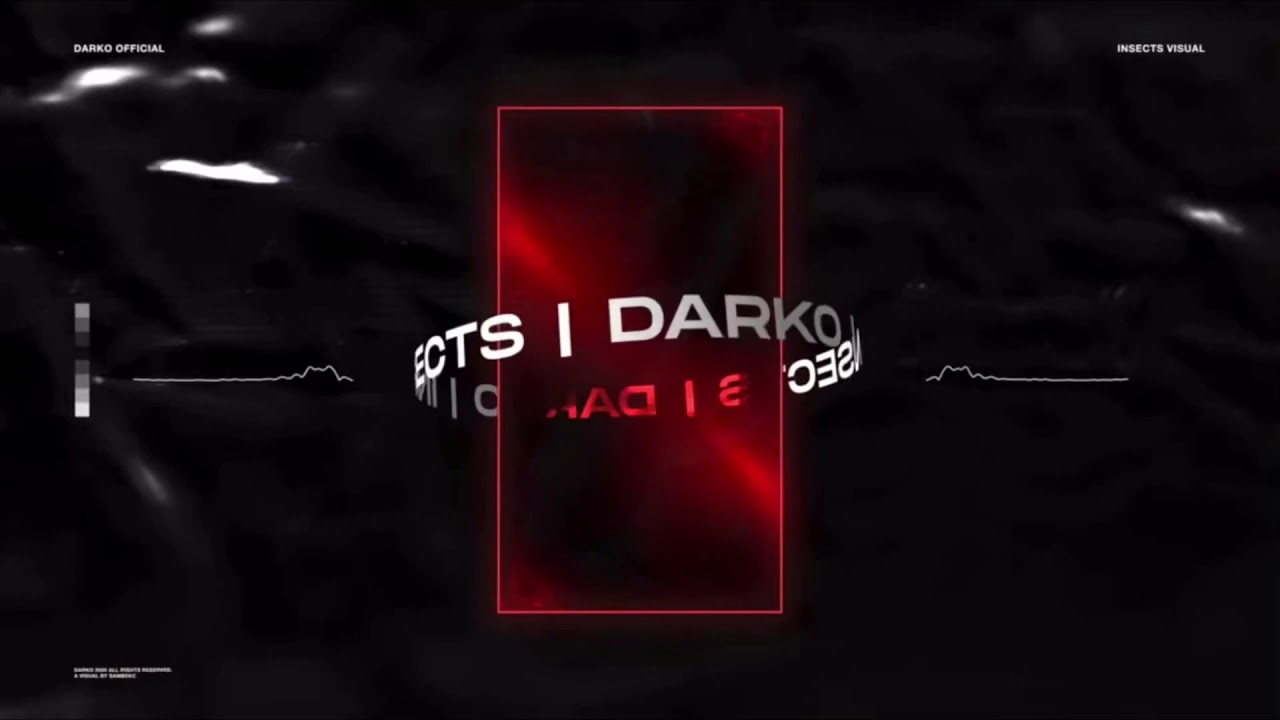 DARKO US - INSECTS lyrics