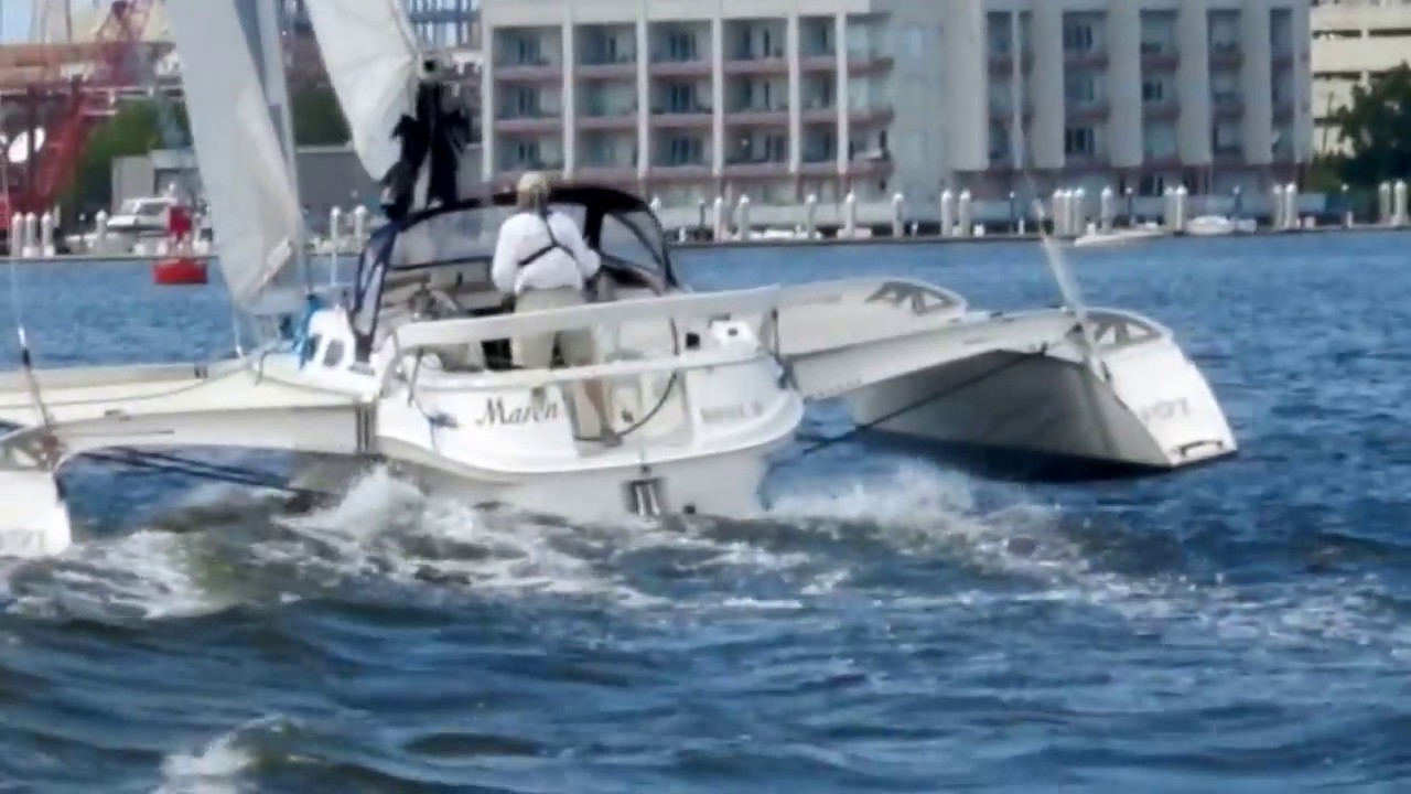 Dragonfly 35