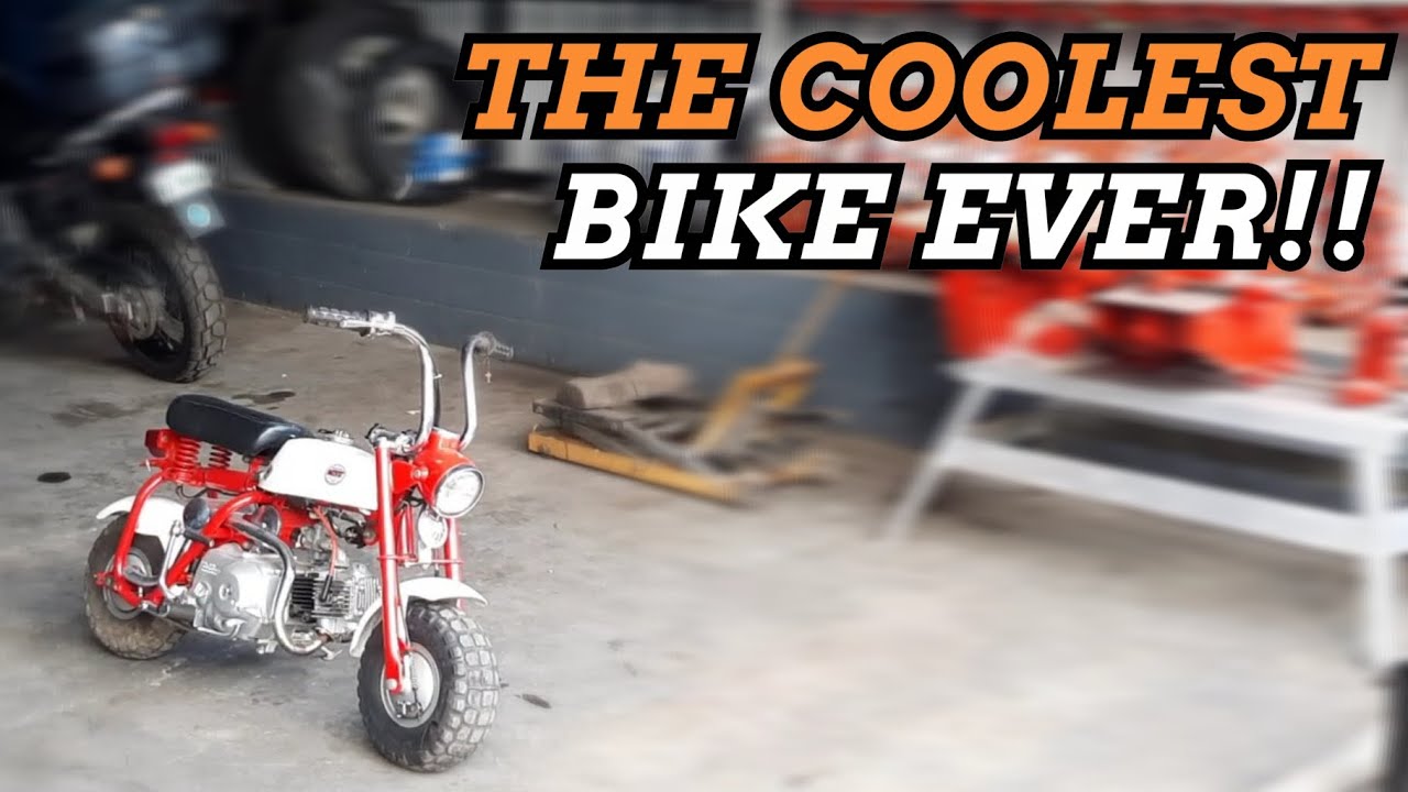 HONDA Z50 MONKEY - Why its the COOLEST BIKE EVER?!