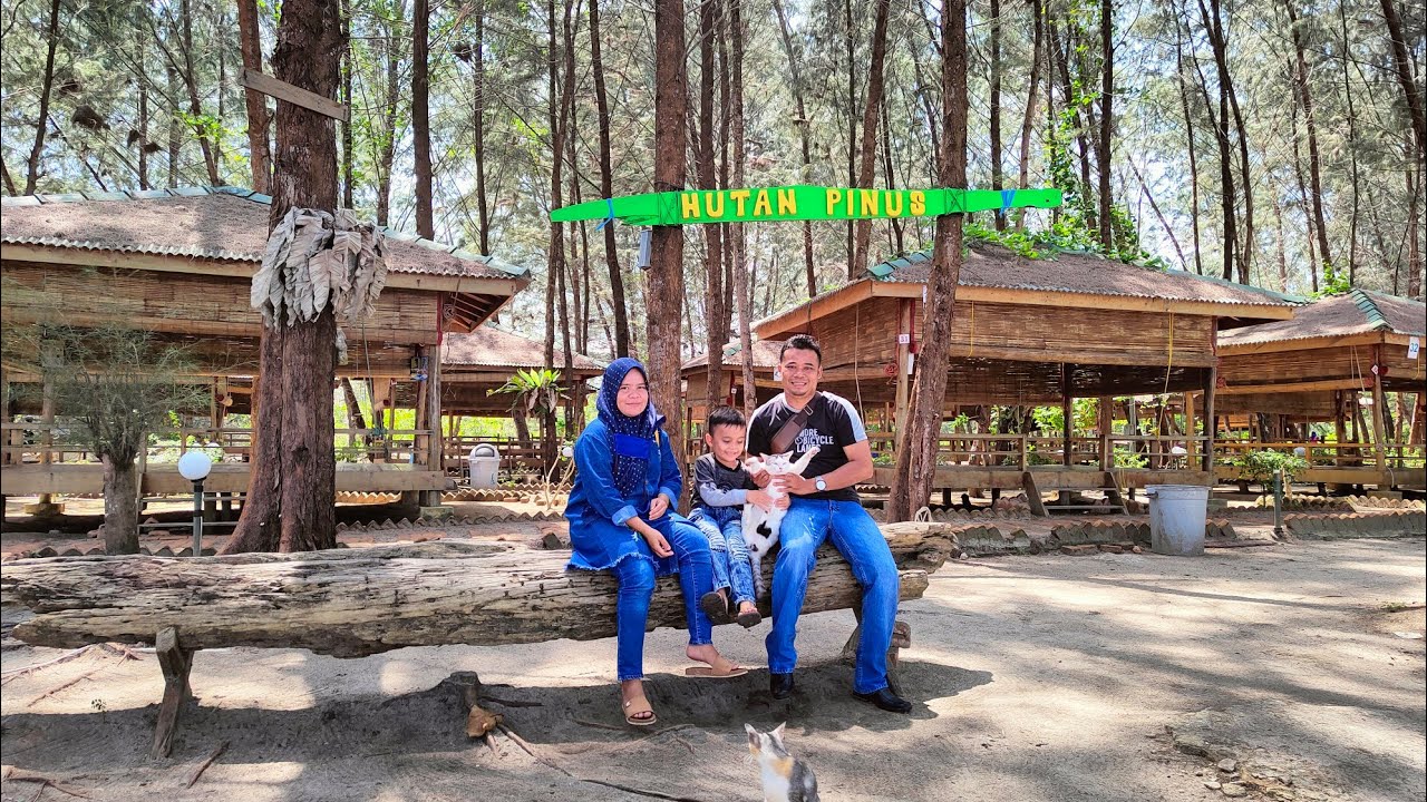 wisata hutan Pinus Trikora #kepulauanriau #pesonakepri #wisatakepri