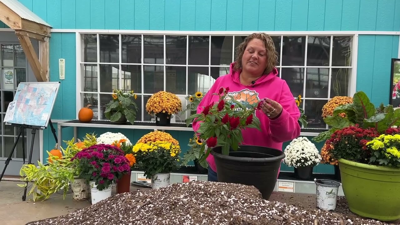 Fall Container Inspiration