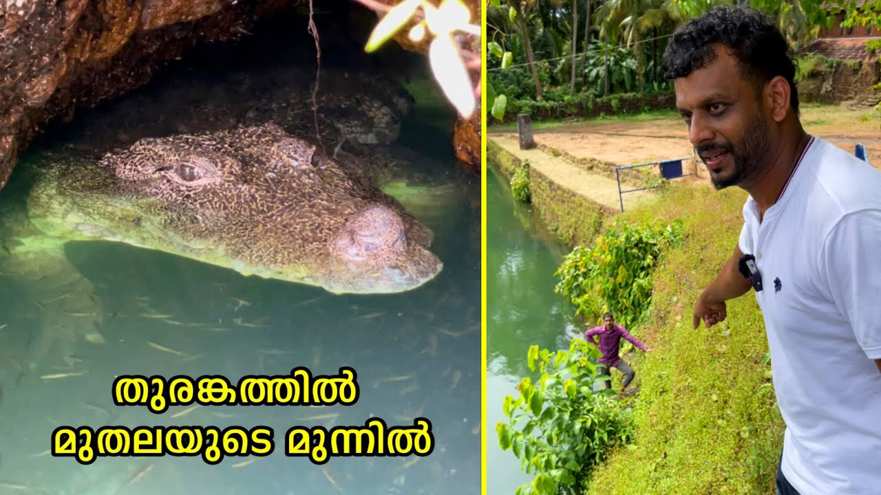 തുരങ്കത്തിൽ മുതലയുടെ മുന്നിൽ ..😱 The vegetarian Crocodile | Ananthapuram Temple