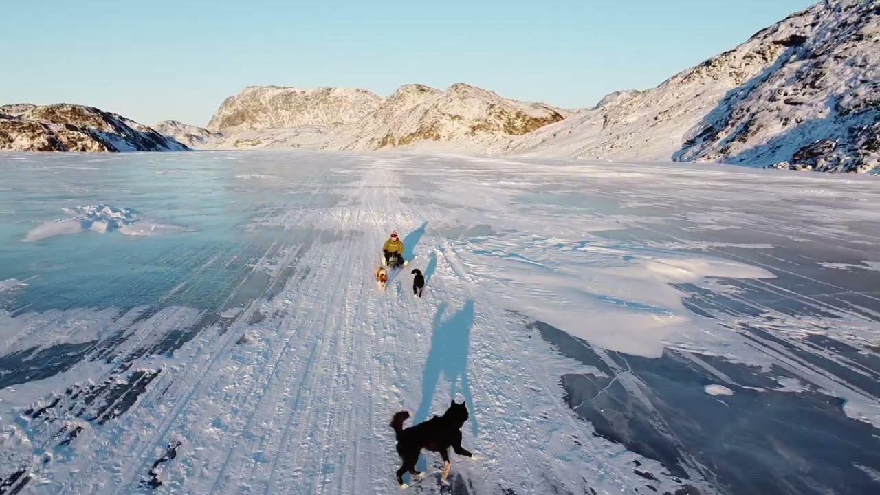 Ivaana qimussertoq 28. Februar 2026