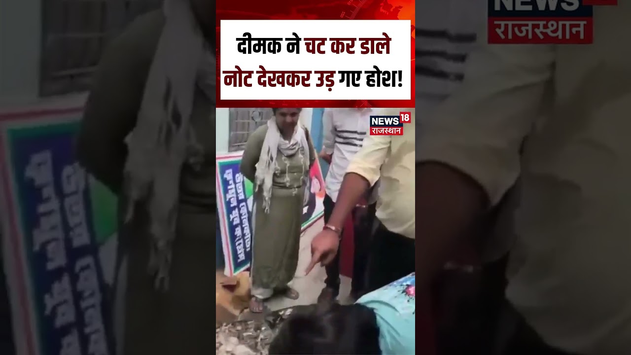 Viral Cash Video : नोटों से भरा बैग बना दीमकों का निवाला! | N18S | Viral | Cash | Top News |