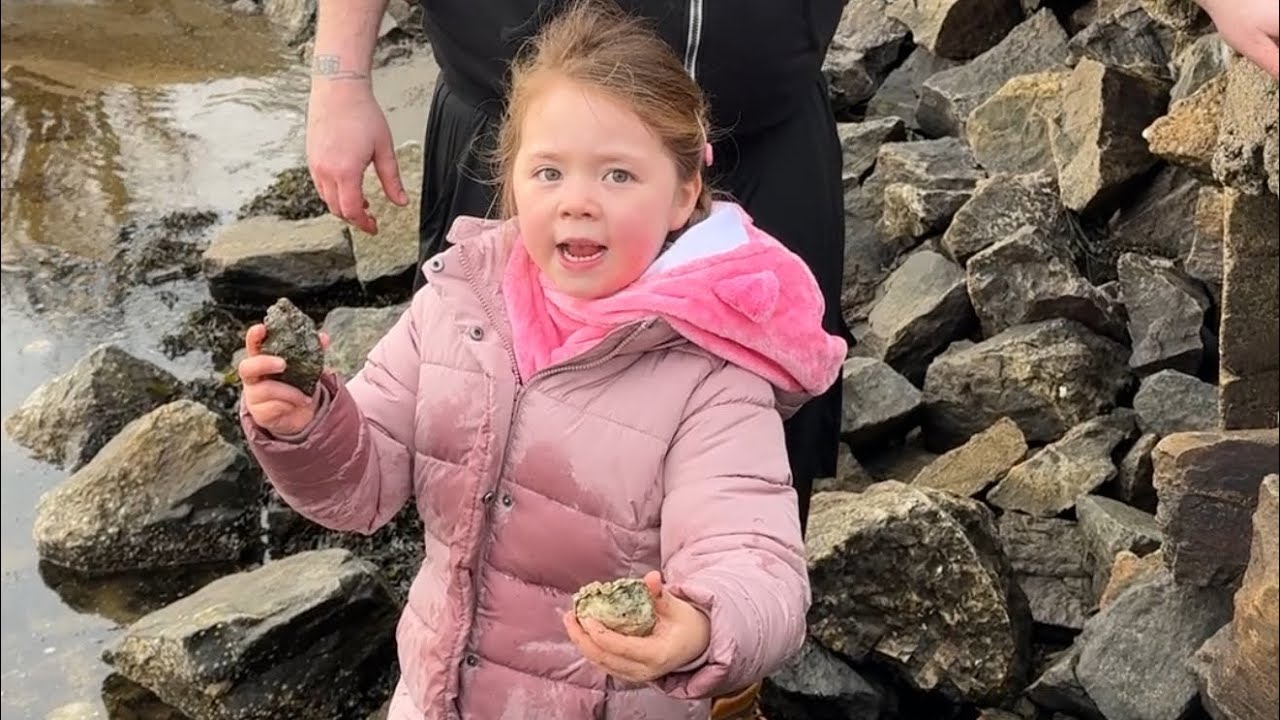 挪威遍地是生蚝扇贝，我们第一次捡生蚝就捡到手软 