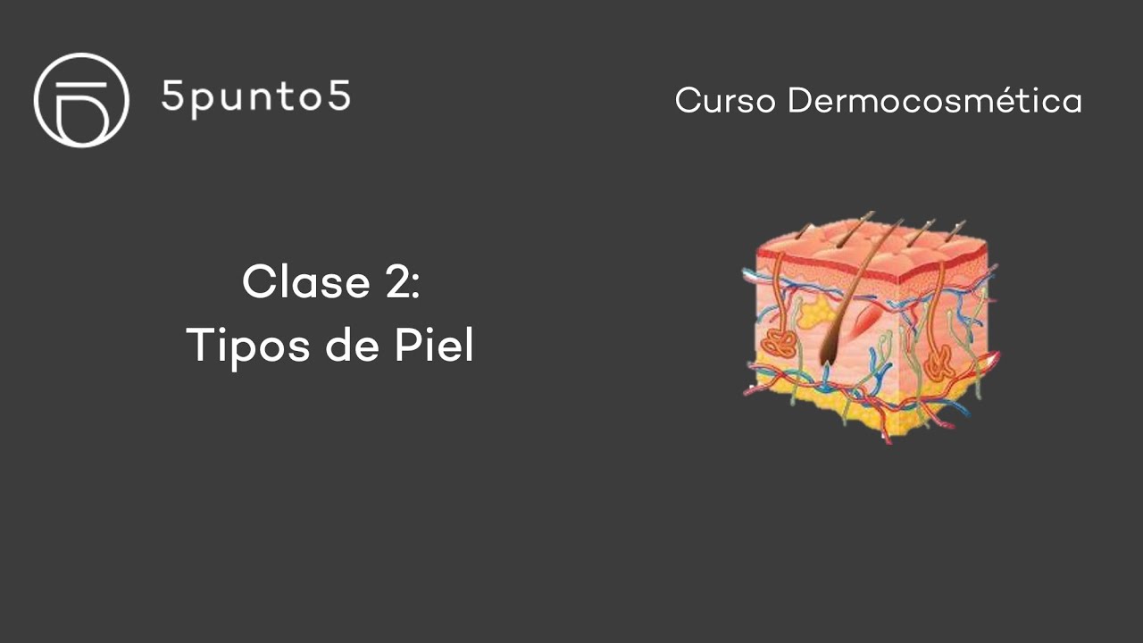 Curso Dermocosmética - Clase 2: Tipos de Piel
