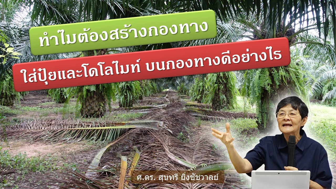 กระบี่โมเดล - ตอนที่ 01 - ทำไมต้องสร้างกองทาง