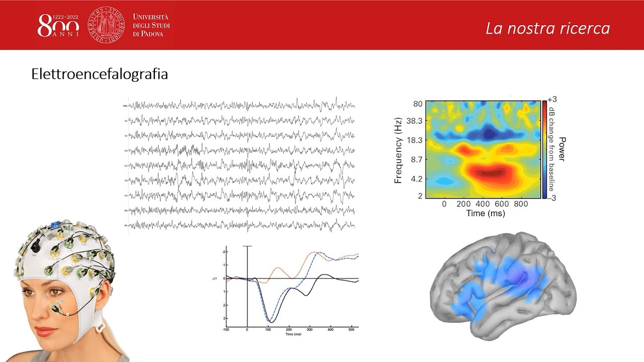 La comprensione linguistica oltre la percezione dei suoni