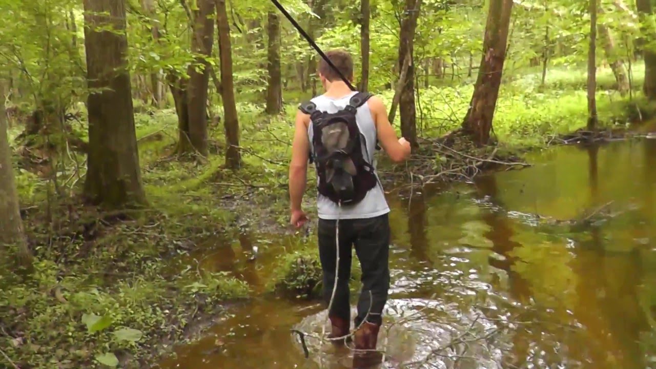 Blowgun Hunting in Swamps