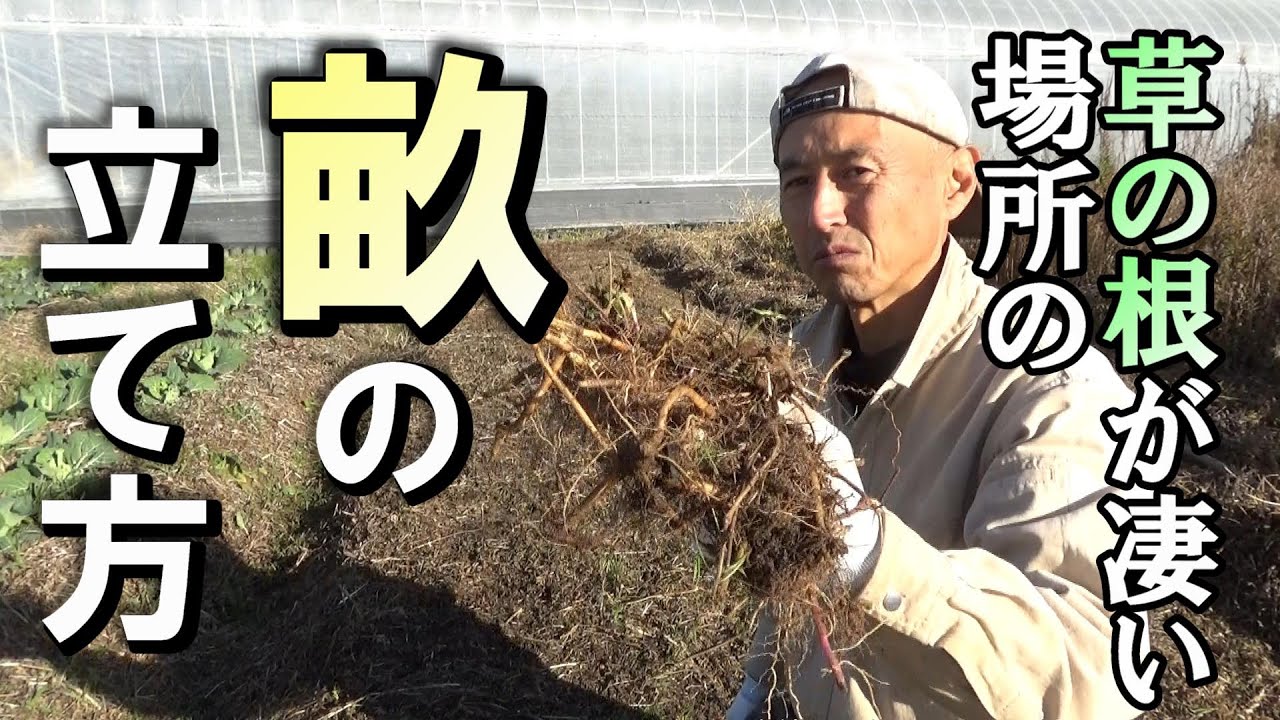 【自然農】　2023年1月17日　草の根が激しい場所でもしっかり野菜の育つ畝の立て方【natural farming】