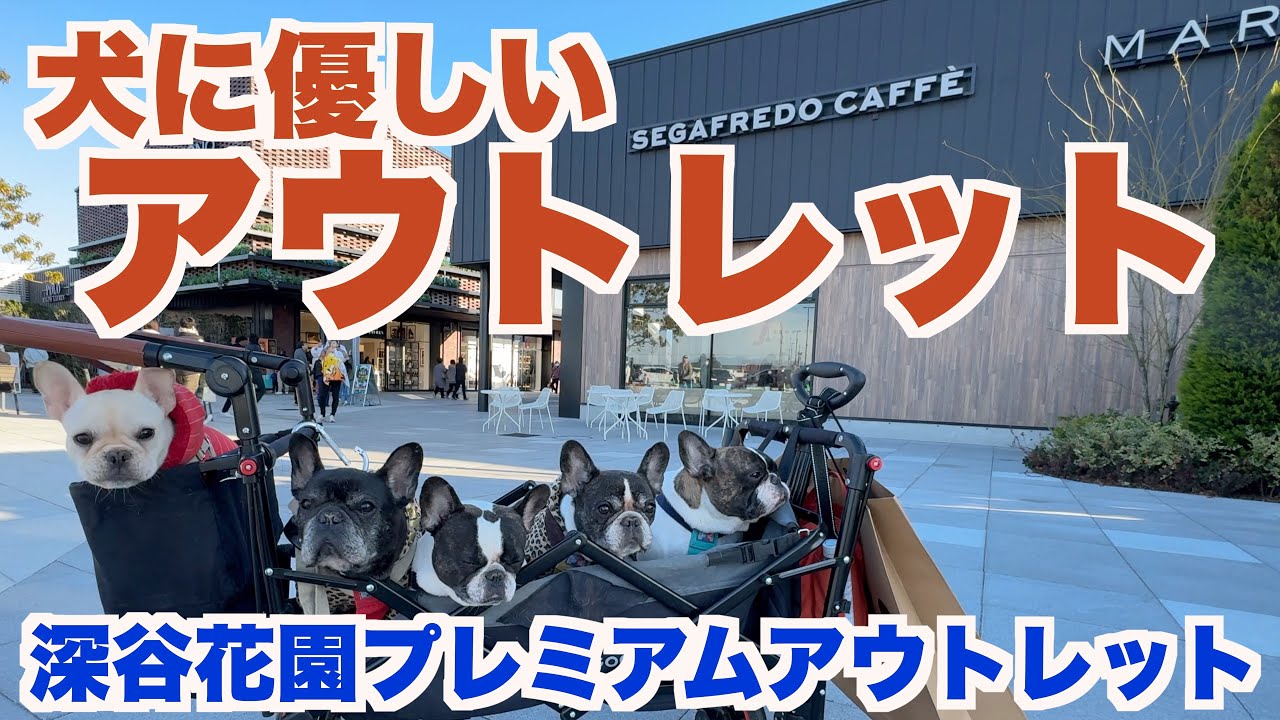 犬に優しいアウトレットモール  【 フレンチブルドッグ french_bulldog 】  深谷花園プレミアムアウトレット