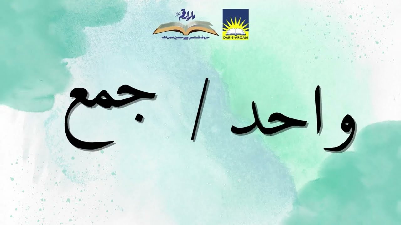 Wahid aur Jama 🗣️ | Singular & Plural in Urdu Grammar for Kids