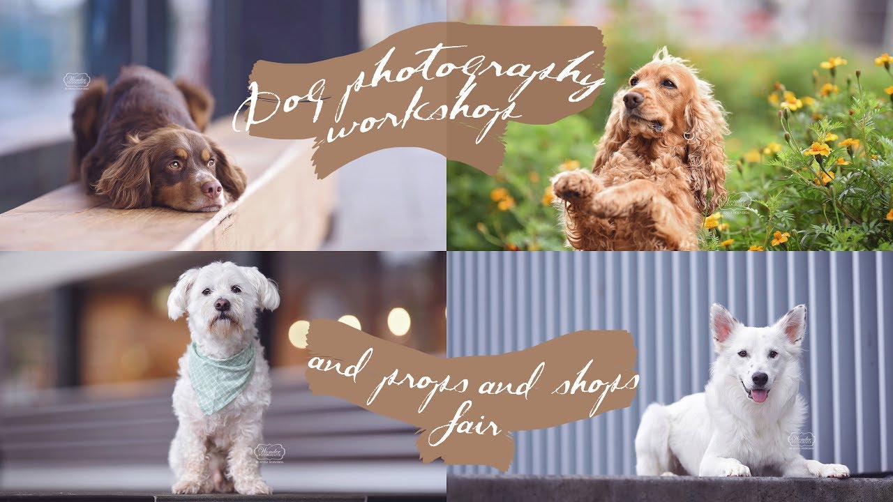DOG photography WORKSHOP behind the scenes + props & shops FAIR Netherlands 2019