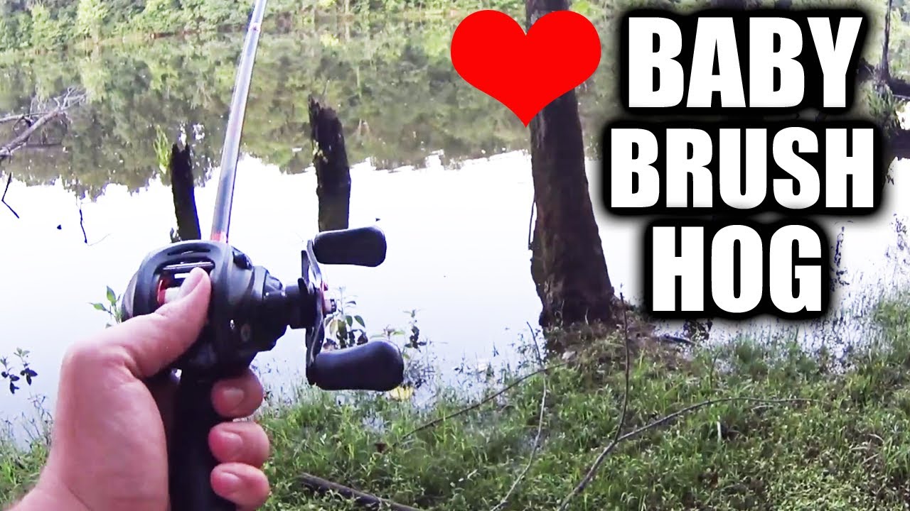 Why I LOVE the Zoom Baby Brush Hog! Texas Rig Bass Fishing (Summer)