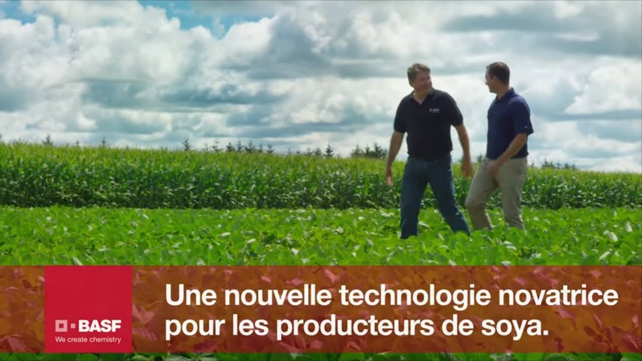 Les herbicides Kixor : une nouvelle technologie novatrice pour les producteurs de soya | BASF