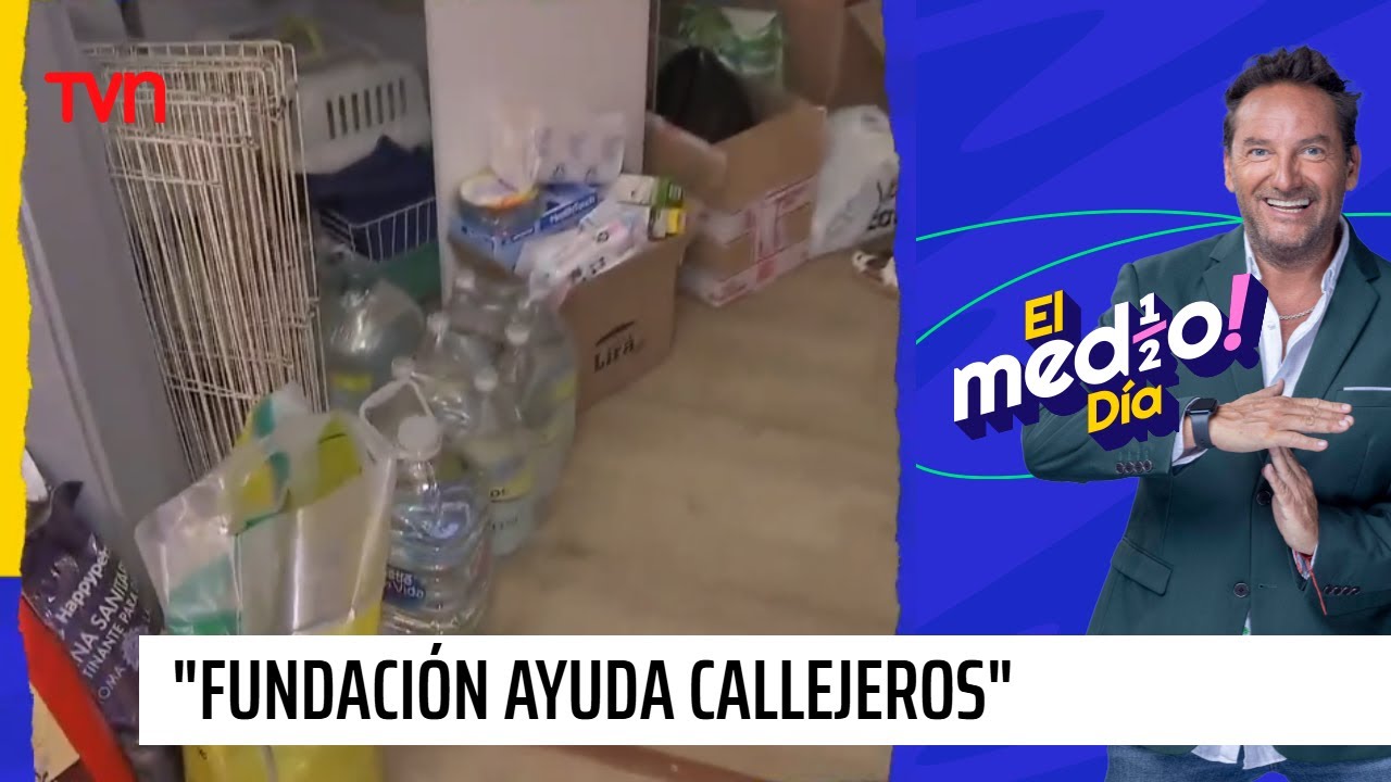 "Fundación Ayuda Callejeros" inicia campaña para perritos y gatitos damnificados por incendios | TVN