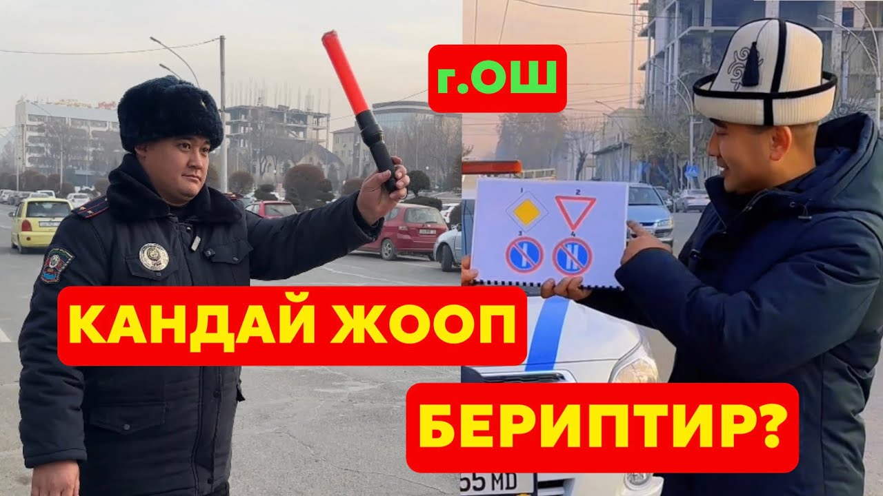 ОШ АЙДООЧУЛАРЫ ЗНАКТАРГА КАНДАЙ ЖООП БЕРИПТИР? ГАИЛЕР БЕЛЕК БЕРИШТИ!