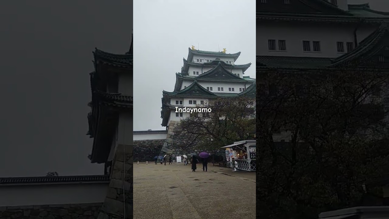 NAGOYA CASTLE! #satisfying #nagoyajapan #nagoyacastle #castle #samurai #edoperiod #japan #shorts