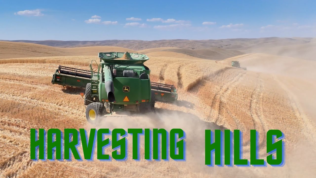 Hillside Harvesters Cutting Wheat (John Deere)