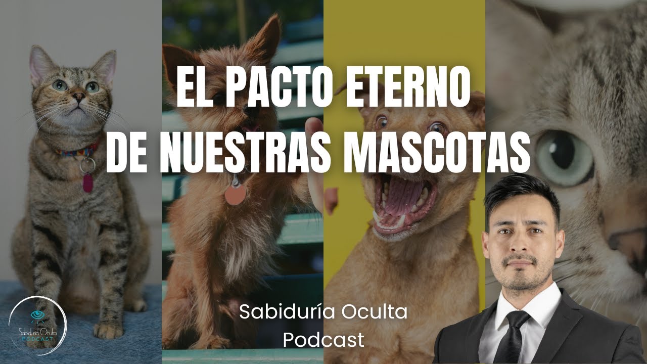 El Pacto Eterno de Nuestras Mascotas