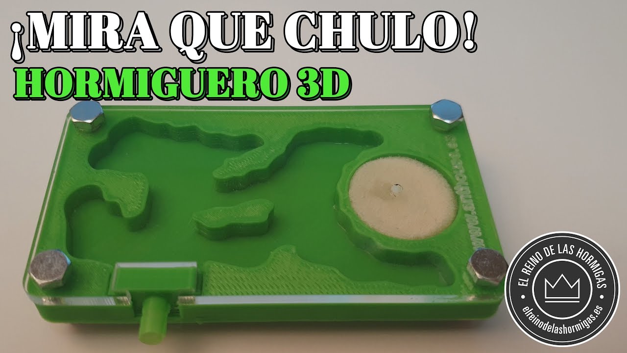 CREO UN HORMIGUERO EN 3D DESDE CERO