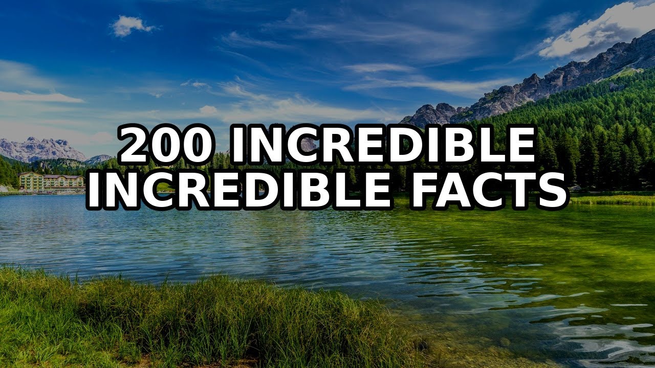 200 Incredible Facts About Brief stunning moments from the wild