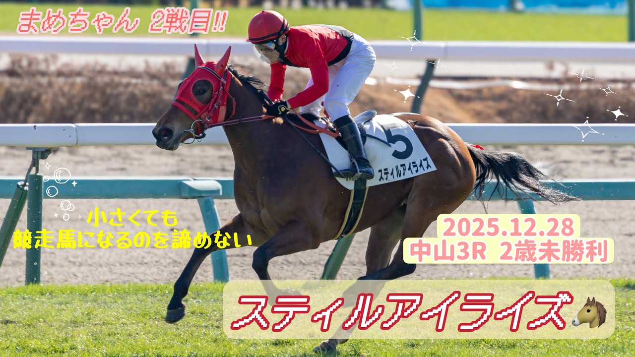 【まめちゃん🌸】スティルアイライズ🐴2戦目も頑張りました👏