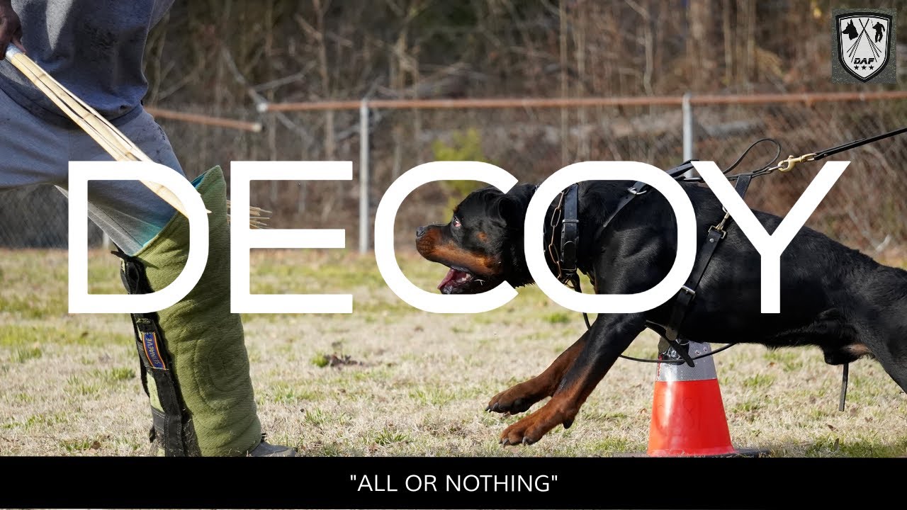 DECOY 