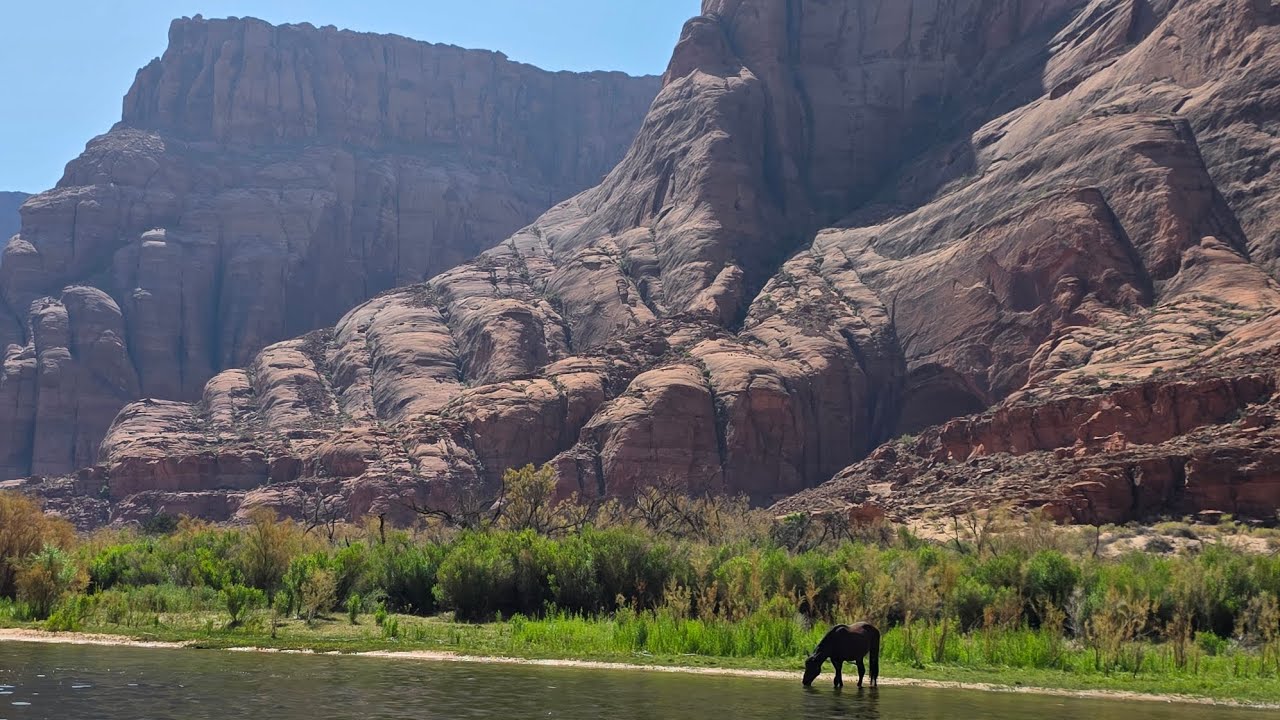 Lake Powell and Colorado River in a Outboard Jet