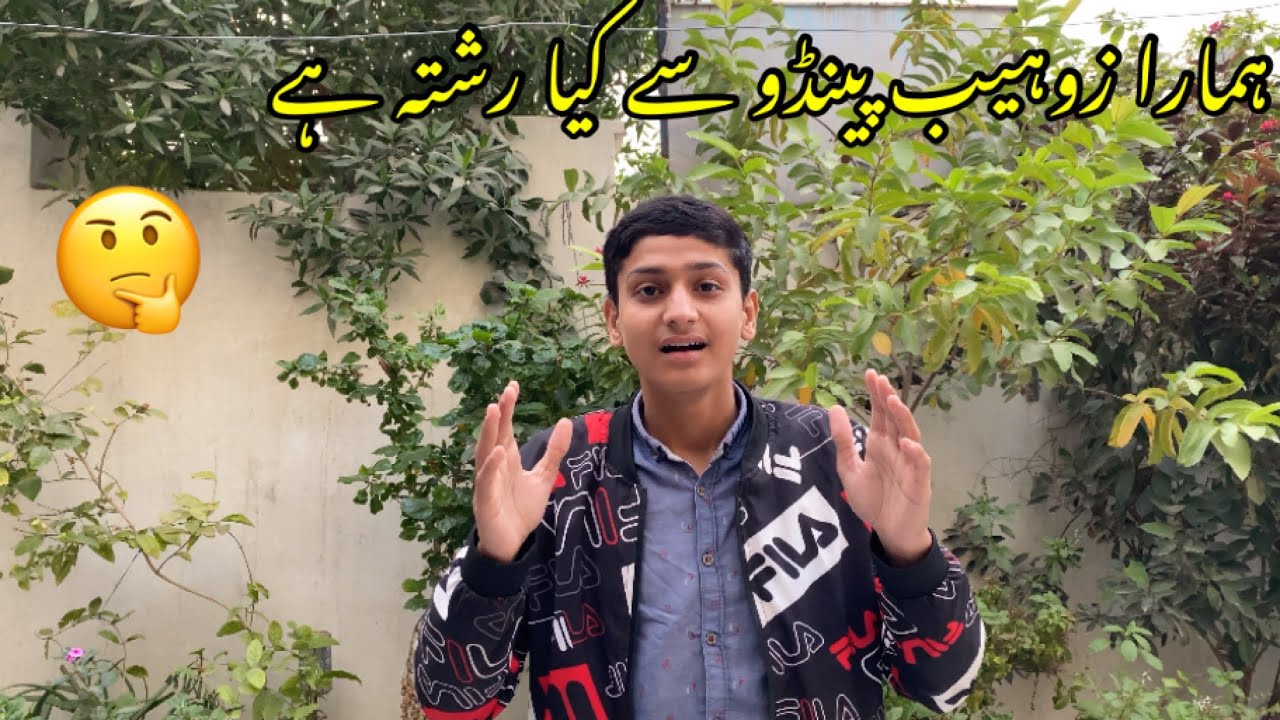 Zohaib Pendu Sa Hamara Kaya Rishta Ha🤔| QNA VIDEO♥️|