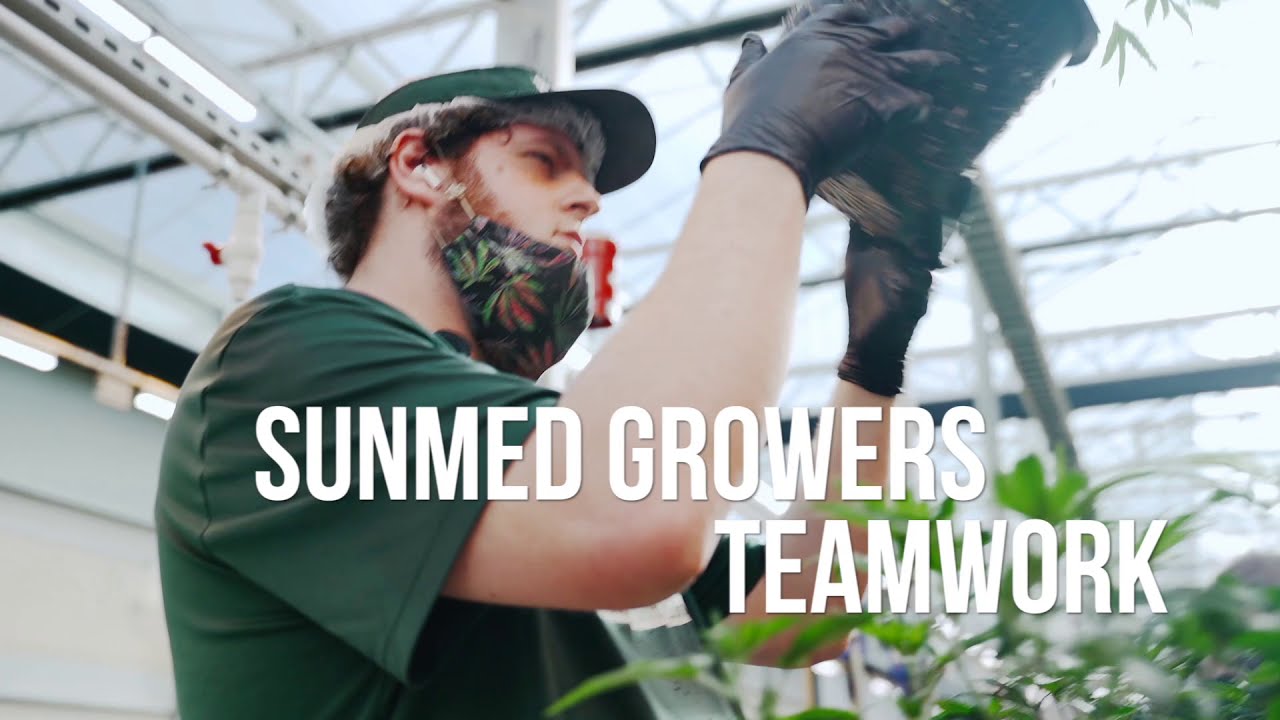 SunMed Growers: Teamwork - Spacing A Cannabis Cultivation Interview