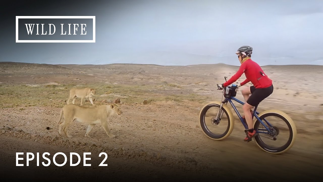 Through Lion Territory: Kate’s Courage on the Skeleton Coast | Diamonds in the Sand | Episode 2
