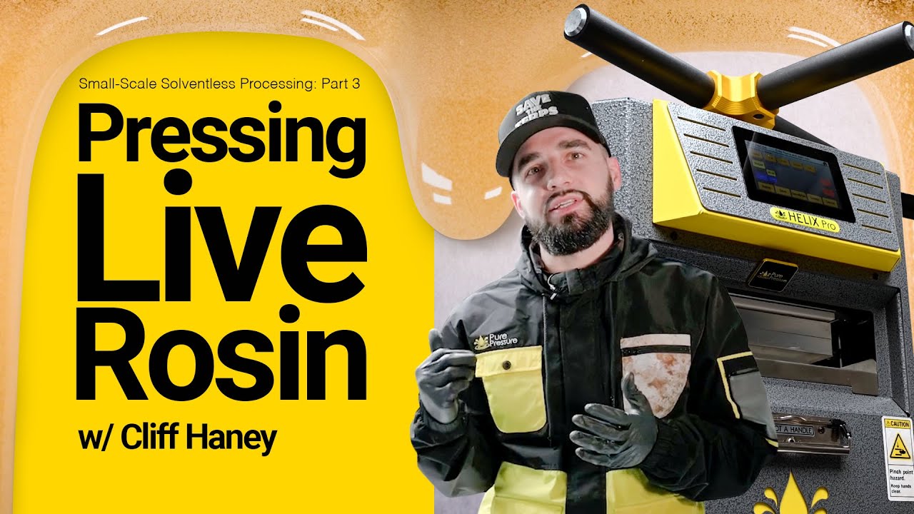 Small-Scale Solventless Processing Part 3: Pressing Live Rosin w/ Cliff Haney