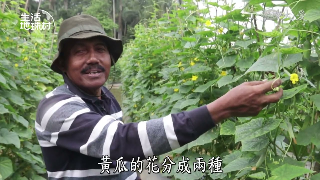 【生活地球村】 整合式農業 豐富退休人生 20260201