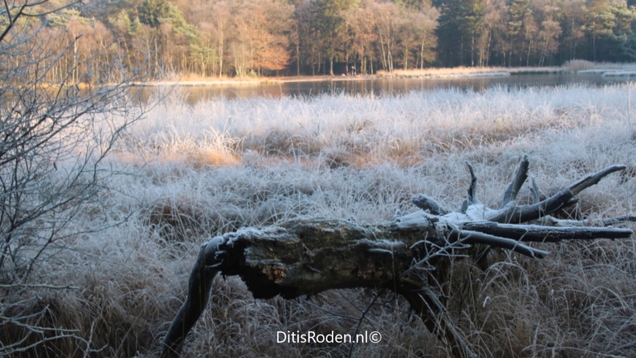 Winterse kou fotografisch vastgelegd