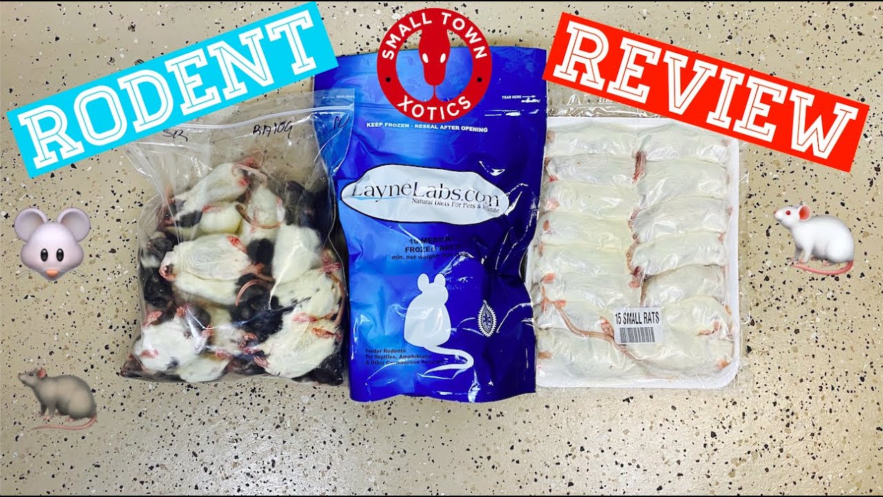 Frozen Rodent Review