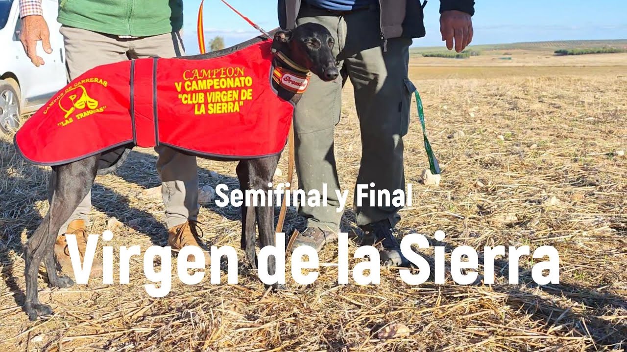Fase de semifinal y final Club Virgen de la Sierra en las Tramadas, 2025
