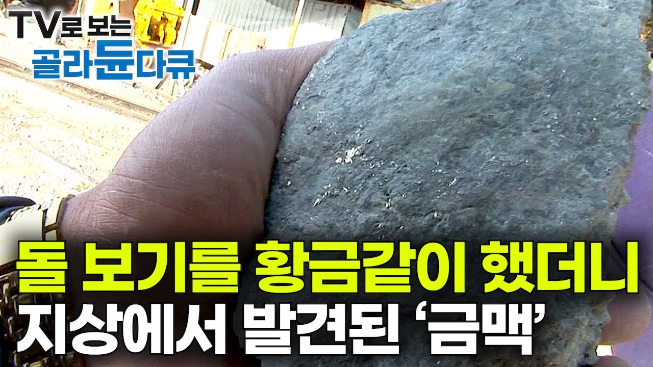 금가루 박혀있는 돌부리 땅 아래 파내려 갔더니 드러난 어마어마한 광산의 정체?｜지상까지 치솟은 금맥 아래 숨겨둔 엄청난 황금｜폭등하는 금값｜한국 금광｜극한직업｜#골라듄다큐