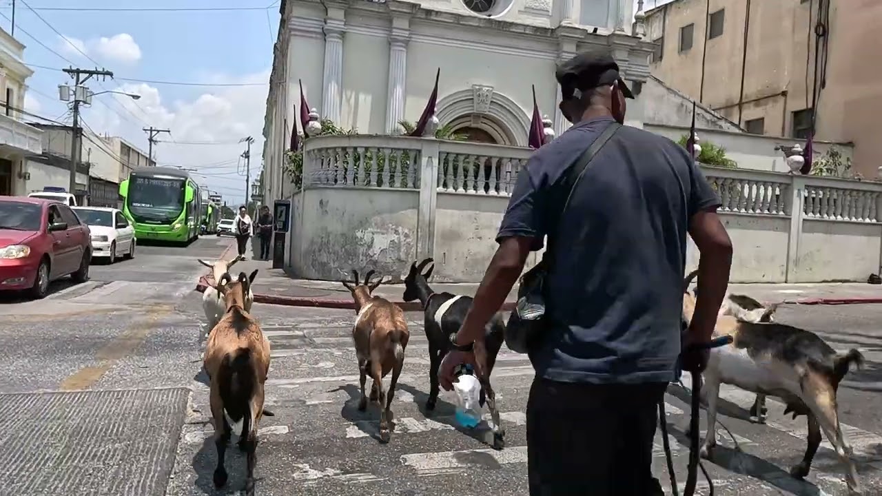 VENTAJAS Y DESVENTAJAS POR SI DESEAS VENIR A VIVIR A GUATEMALA