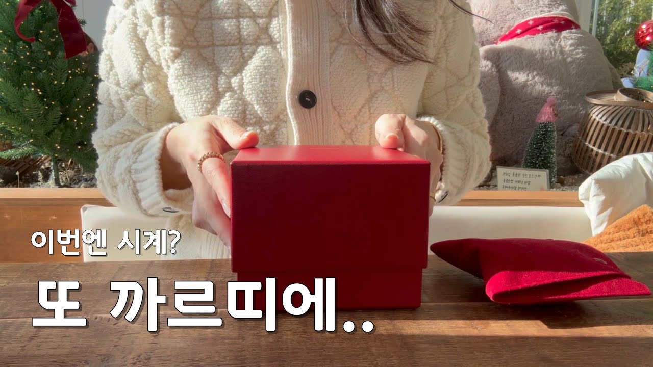 평생 위시템 청산.. 시계랑 다무르 귀걸이 샀어요
