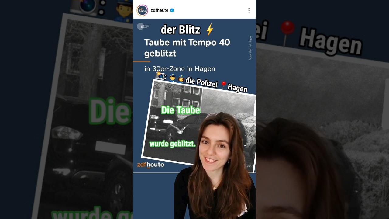 Reacting to unusual German News: Speeding Pigeon Caught by Police! 🕊️🚨 #learngerman