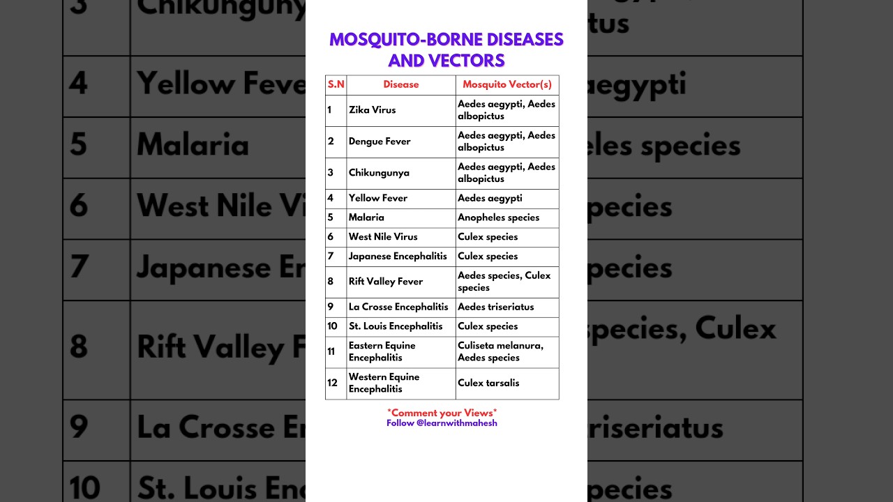 Mosquito-Borne Diseases and Vectors #disease #health