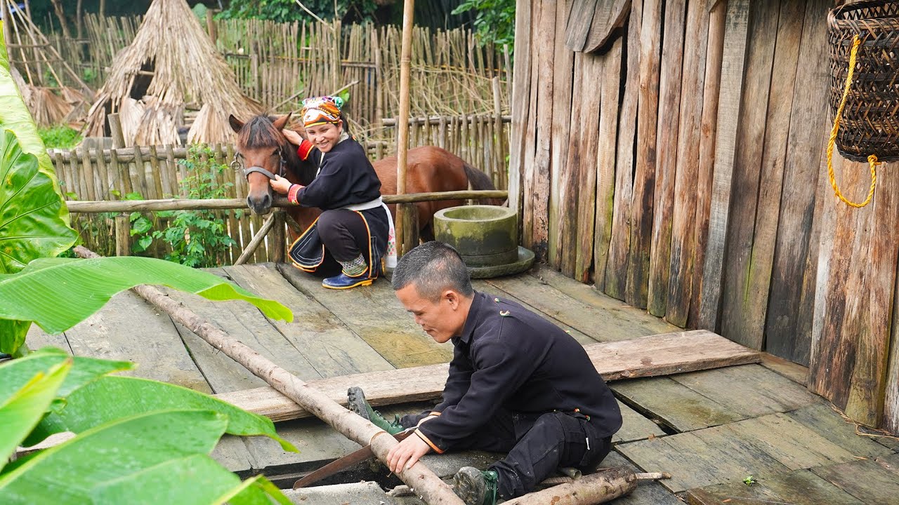 Dwarf Family Renovates Their Log Cabin - Horse Care - Life Off the Grid