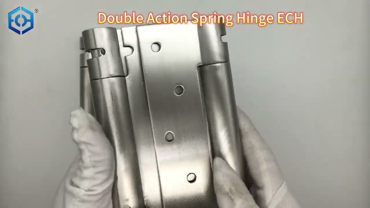 Spring Fuction 6 Inches Stainless Steel Double Action Spring Hinge