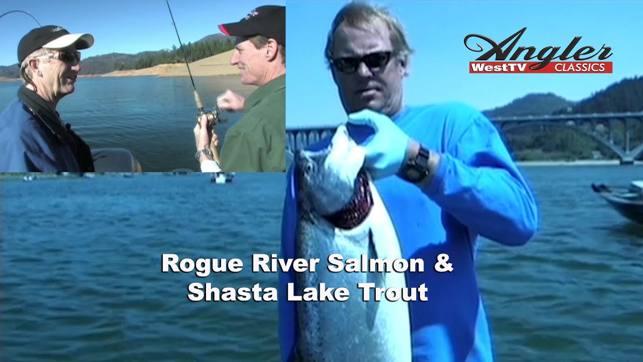 Rogue River Herring Spinner Salmon & Shasta Lake Winter Trout