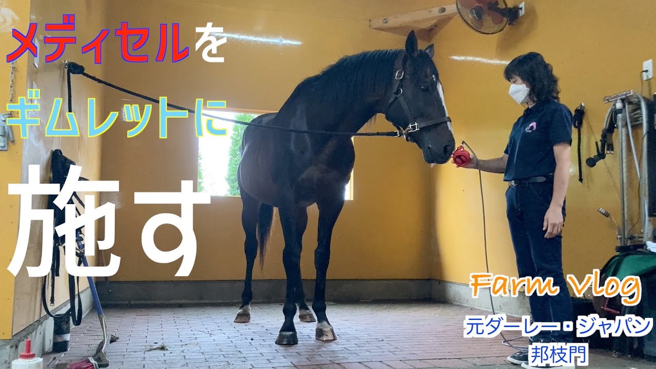 【タニノギムレット】にメディセルケアを施した結果は？！