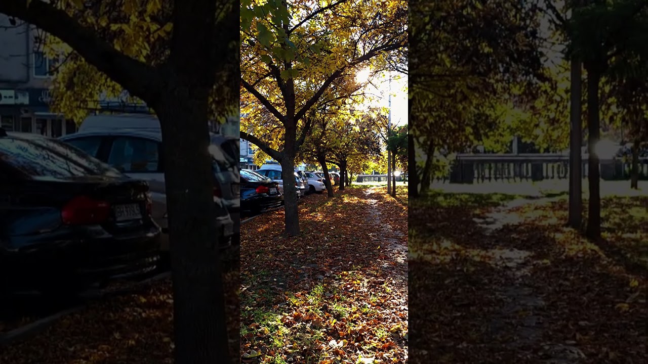 Lacul Roșu, volt Bencz&uacute;r Gyula utca (Rog&eacute;riusz)/Strada Lacul Roșu (Rogerius)