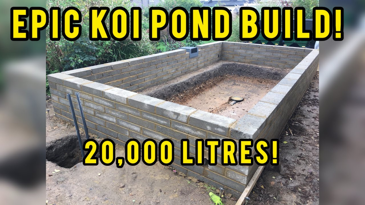 My koi pond build journey